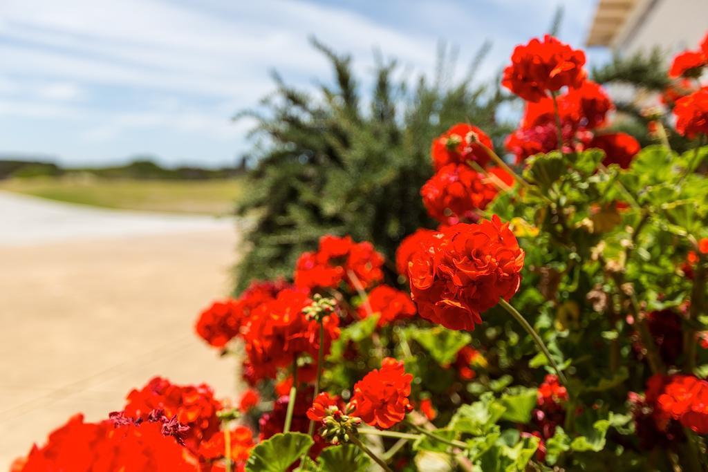 Wytonia Beachfront Accommodation Port Fairy Eksteriør bilde